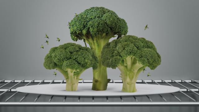 Broccoli bomen symboliseren duurzaamheid