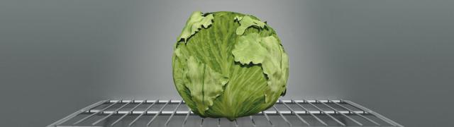 lettuce globe