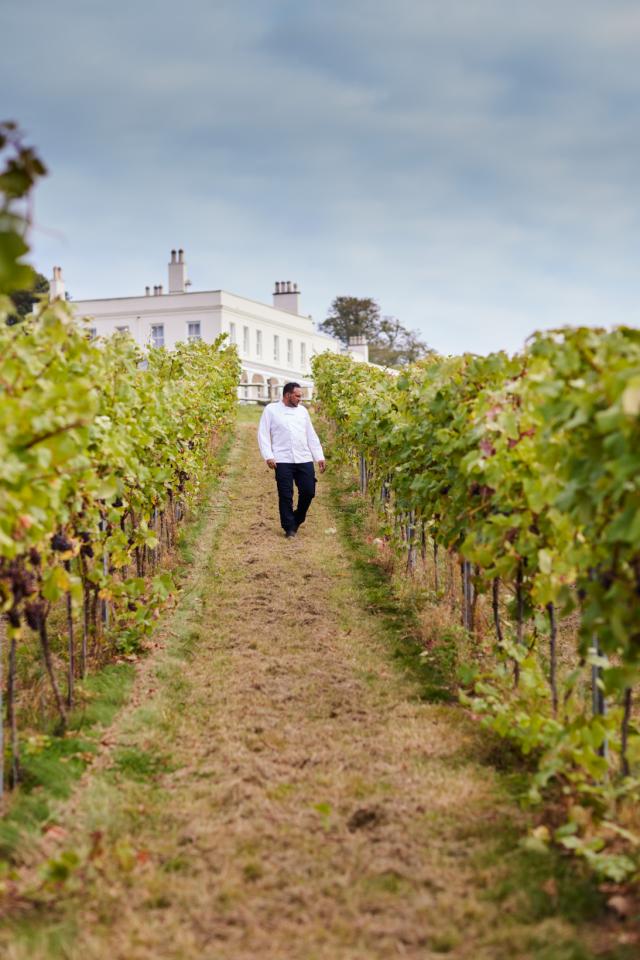 Chef Michael Caine in vineyard 